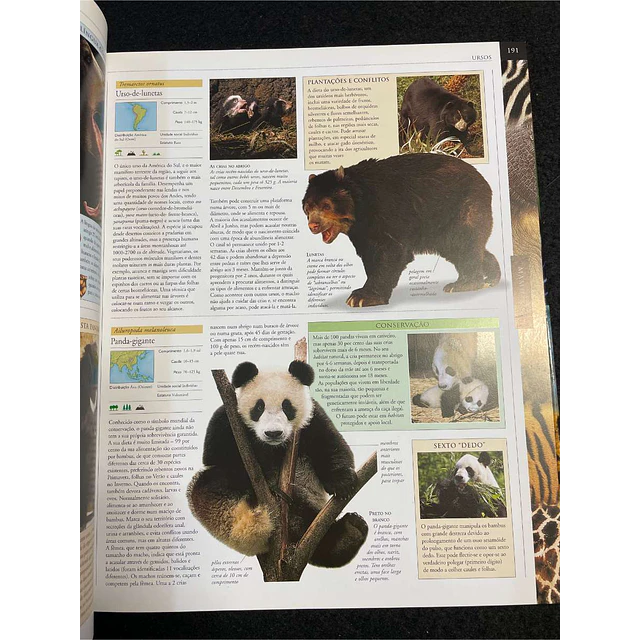 Grande enciclopédia animal: O mais completo guia visual da vida selvagem