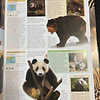Grande enciclopédia animal: O mais completo guia visual da vida selvagem