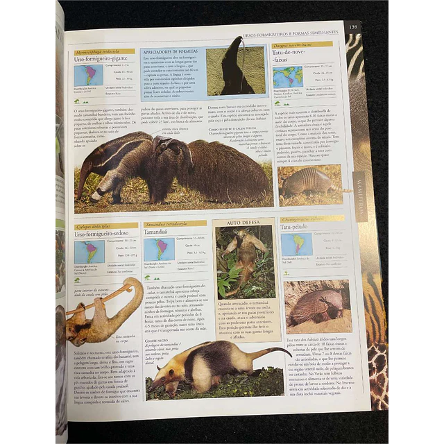 Grande enciclopédia animal: O mais completo guia visual da vida selvagem