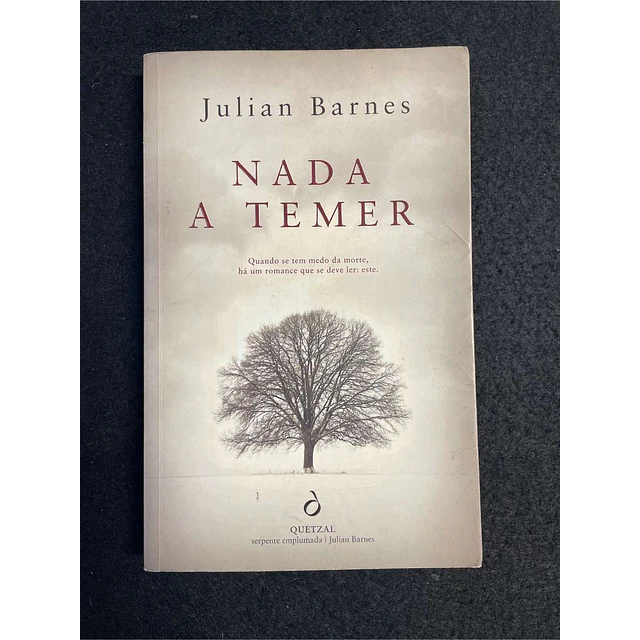 Julian Barnes - Nada a temer