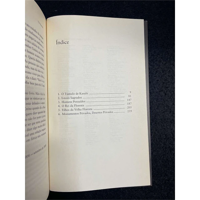 V. S. Naipaul - A máscara de África