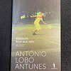 António Lobo Antunes - Sôbolos rios que vão
