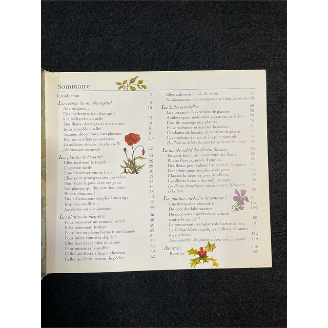 Marie Borrel - Les plantes et leurs vertus: Les carnets du jardin