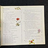 Marie Borrel - Les plantes et leurs vertus: Les carnets du jardin
