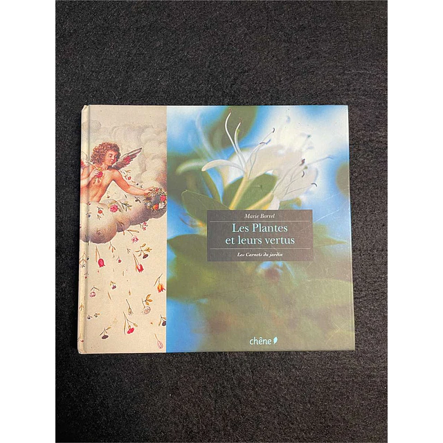 Marie Borrel - Les plantes et leurs vertus: Les carnets du jardin
