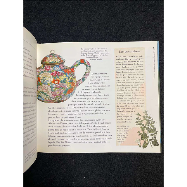 Marie Borrel - Les plantes et leurs vertus: Les carnets du jardin