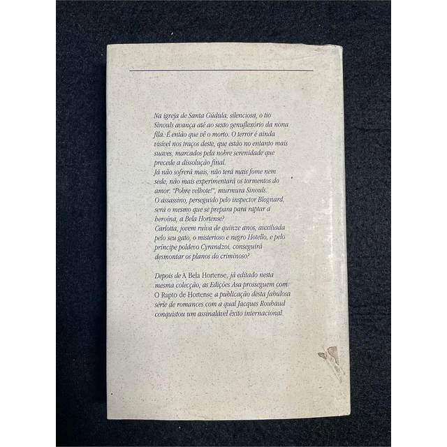 Jacques Roubaud - O rapto de Hortense 