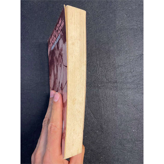 Cormac McCarthy - Belos cavalos