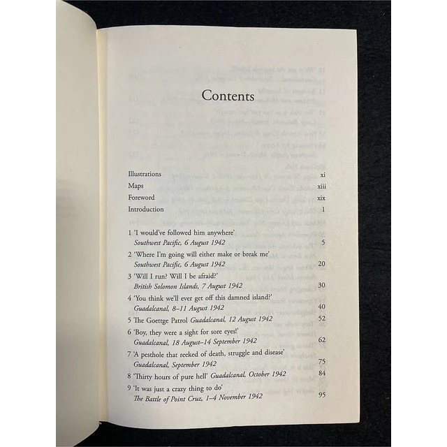 Saul David - Devil dogs: King company, third Battalion, 5th Marines