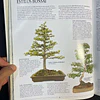 Harry Tomlinson - O grande livro do Bonsai: Um guia prático para a arte e o cultivo do Bonsai