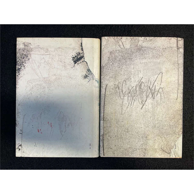 Sophia de Mello Breyner Andresen - Obra poética. 2 Volumes