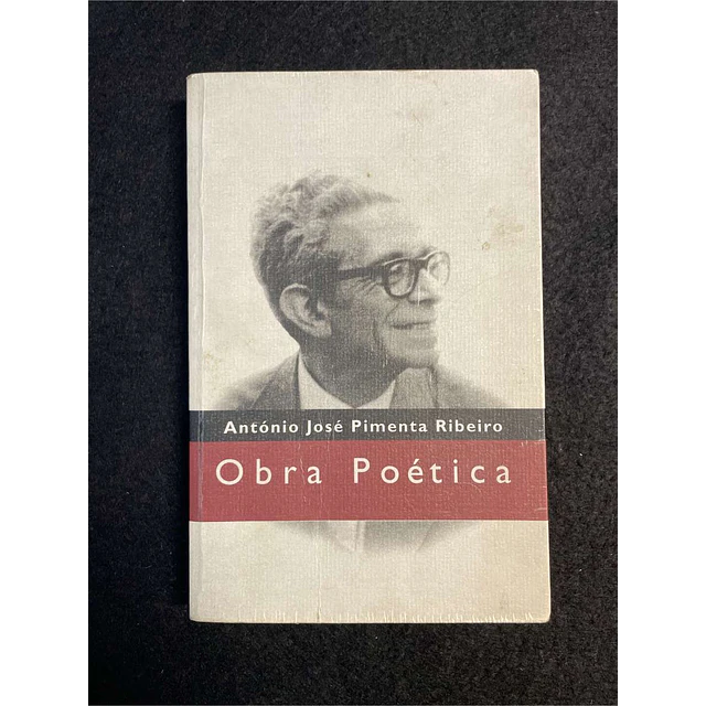 António José Pimenta Ribeiro - Obra poética