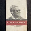 António José Pimenta Ribeiro - Obra poética