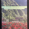 Miguel Albuquerque - Roseiras Antigas de Jardim: Colecção da Quinta do Arco > Roseiral Duquesa de Bragança