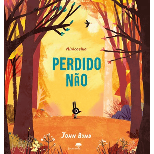 PERDIDO NÃO