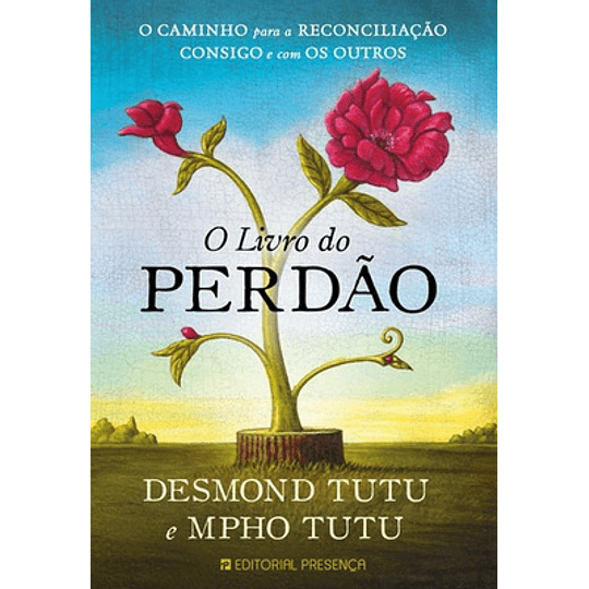 O LIVRO DO PERDAO - O CAMINHO PARA A REC