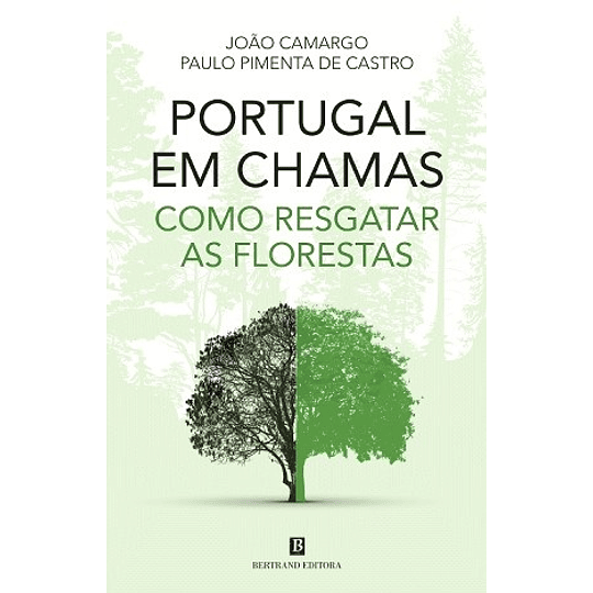 Portugal em Chamas - Como Resgatar as Florestas