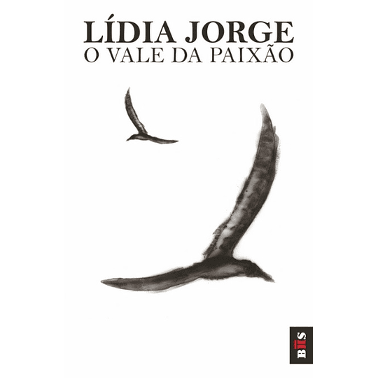 O Vale da Paixão - Livro de bolso