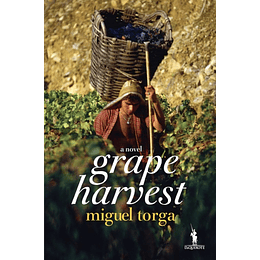 Grape Harvest