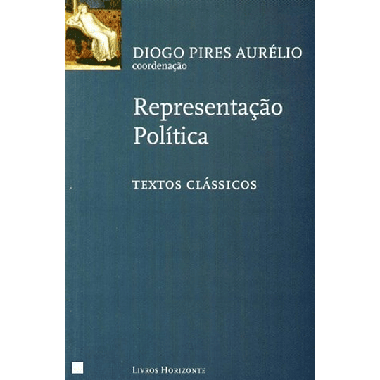 REPRESENTAÇÃO POLÍTICA 