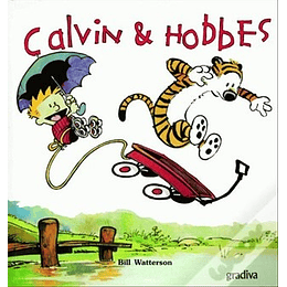 CALVIN & HOBBES 