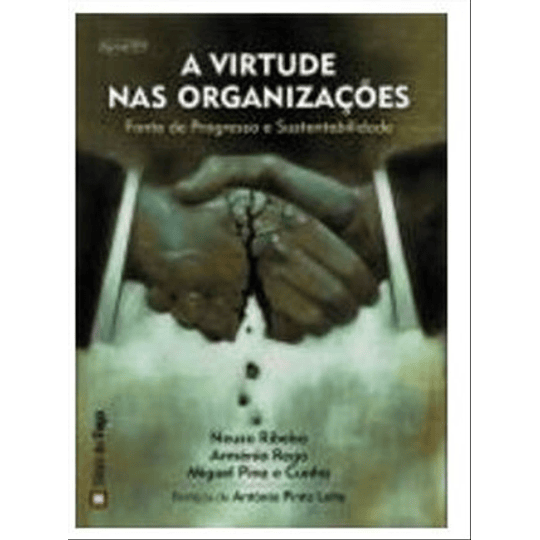 A VIRTUDE NAS ORGANIZAÇÕES 