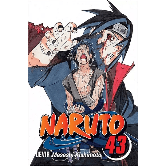 Naruto - Livro 43: O Portador da Verdade