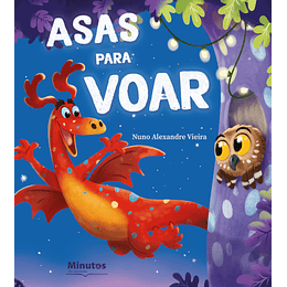 Asas para Voar