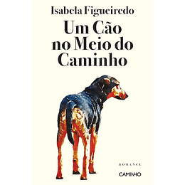 Um Cão no Meio do Caminho