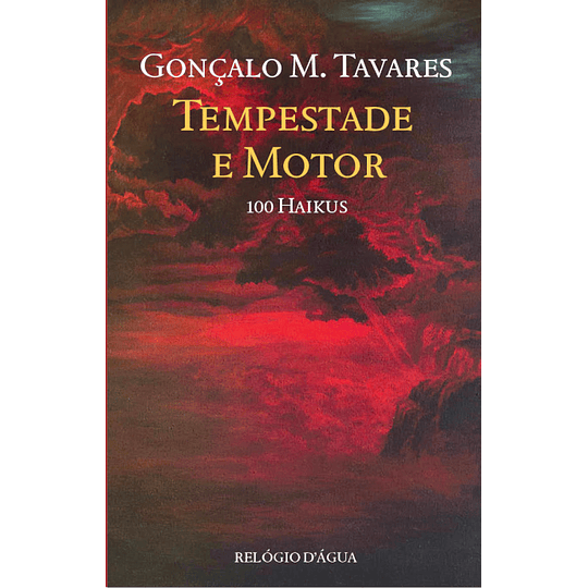 Tempestade e Motor - 100 Haikus