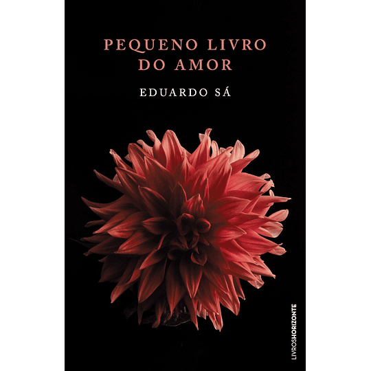 Pequeno Livro do Amor