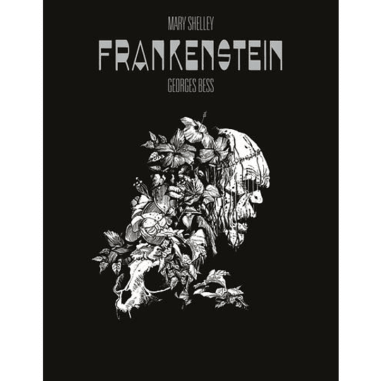 Frankenstein de Mary Shelley