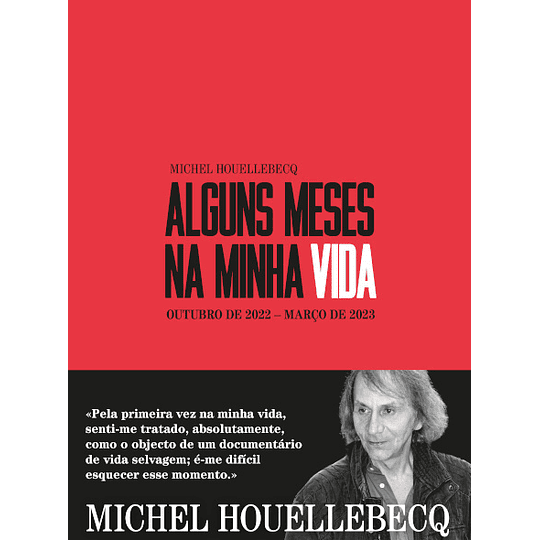 Alguns Meses na Minha Vida - Outubro de 2022 - Março de 2023