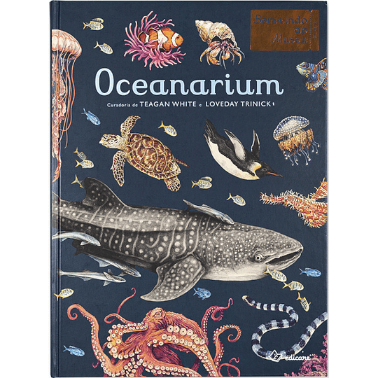 Oceanárium