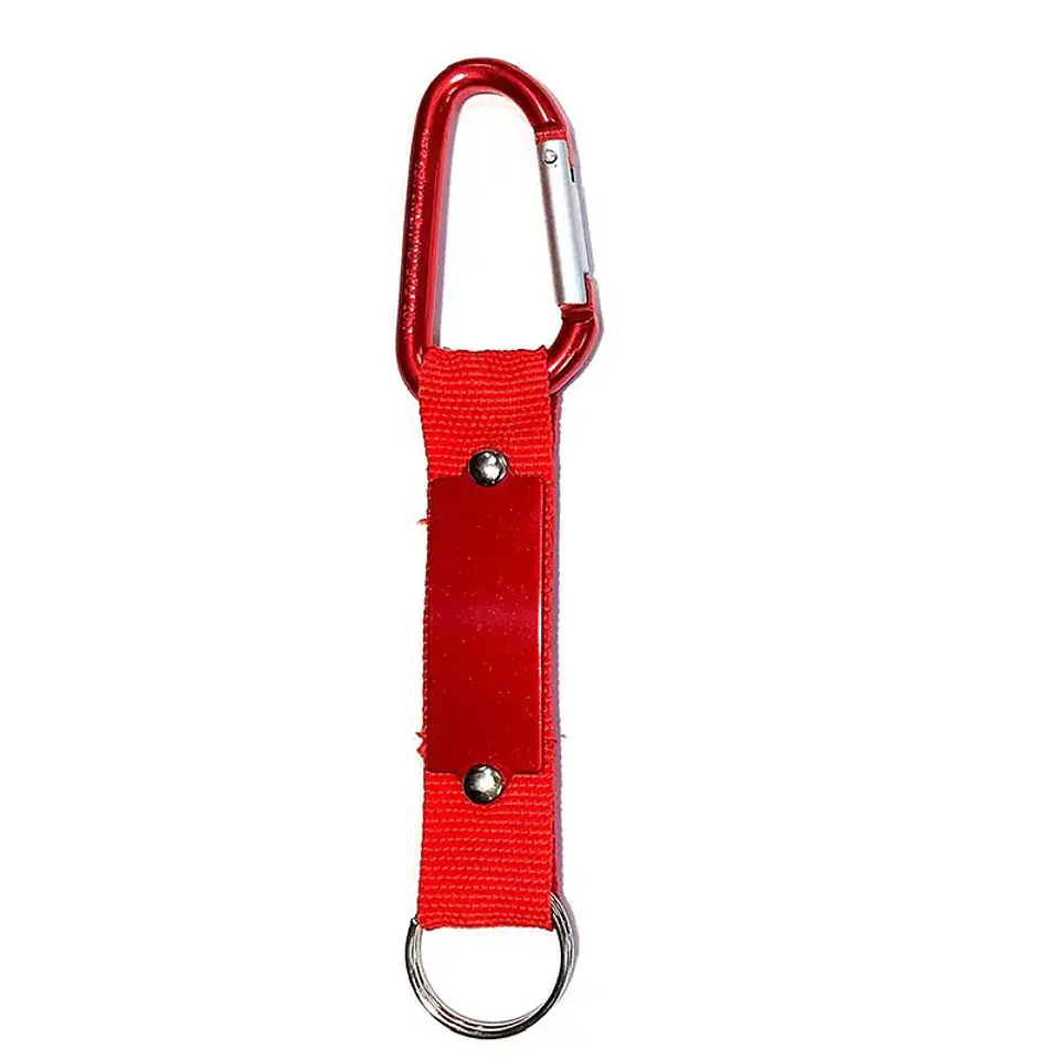Llavero Carabiner 1