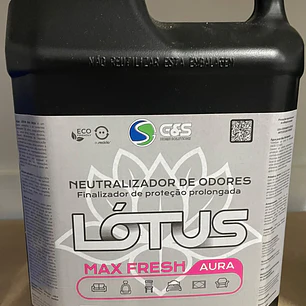 MAX FRESH AURA 