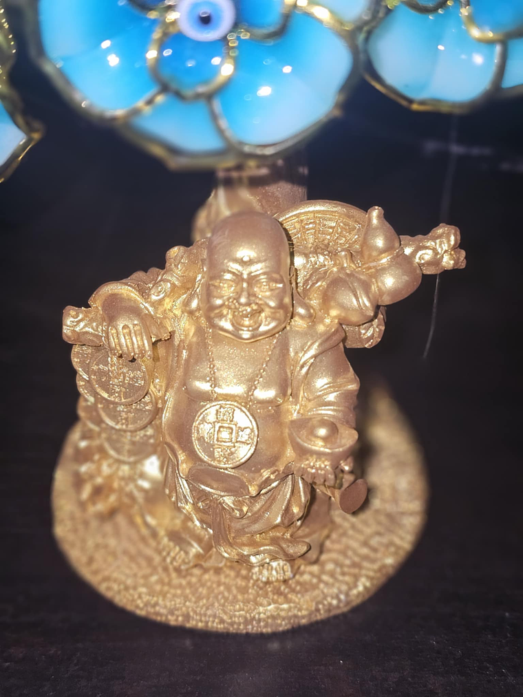 arvore olho turco  3