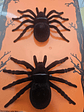 Aranhas Decorativas Grandes Halloween – Pacote com 2 Unidades - Thumbnail 2