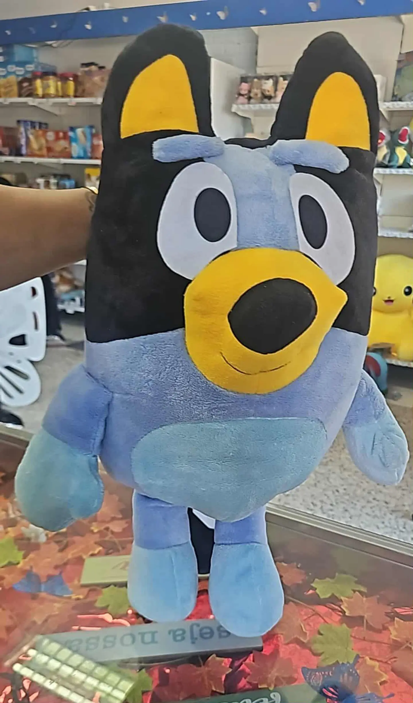 Bluey – Diversão e Fofura 🐶💙 2