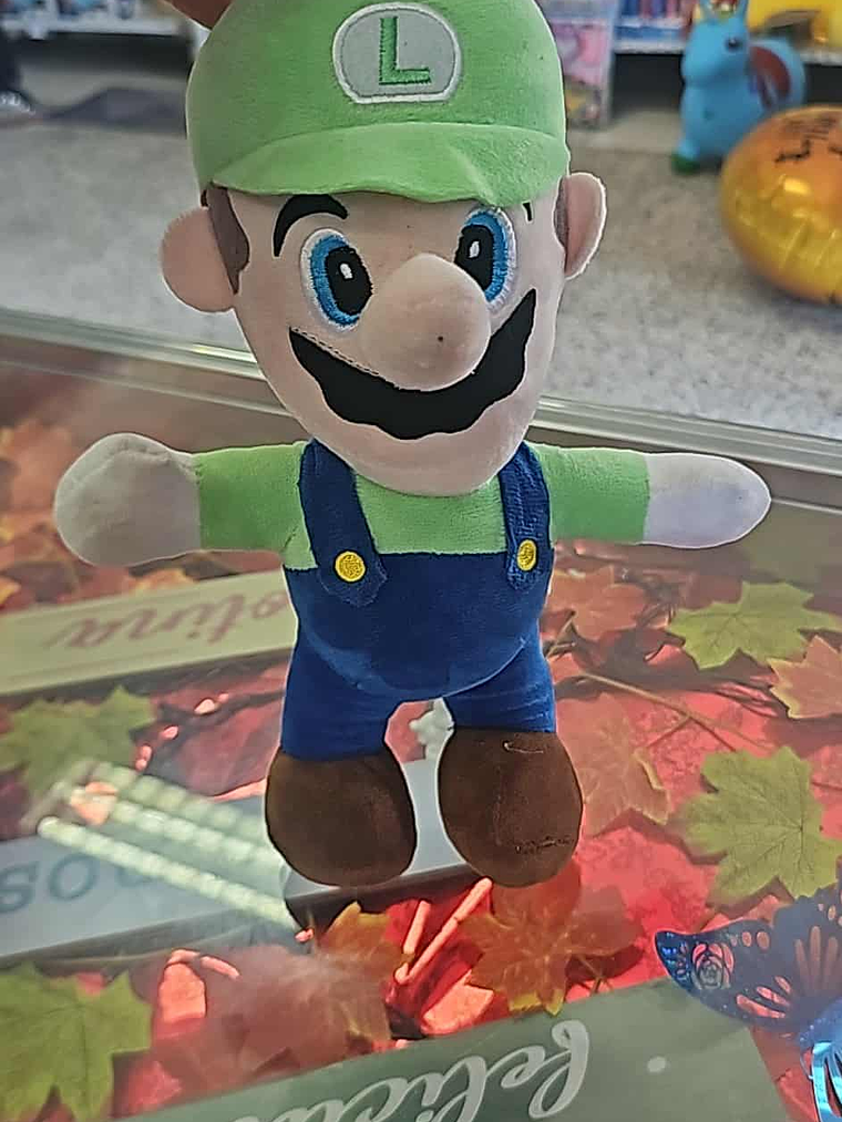 Mario e Luigi – Super Irmãos 🧢🍄⭐ 2