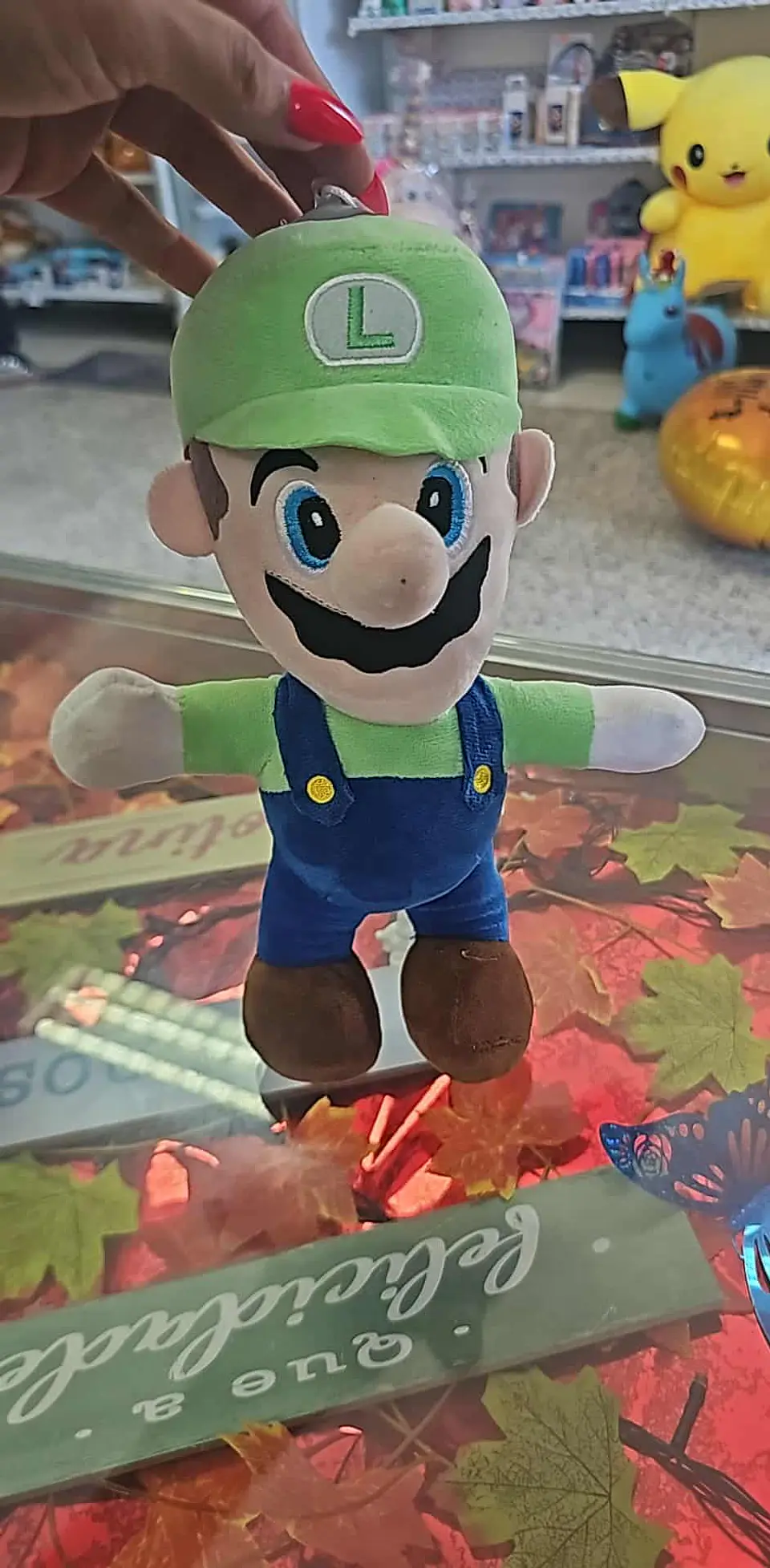 Mario e Luigi – Super Irmãos 🧢🍄⭐ 2
