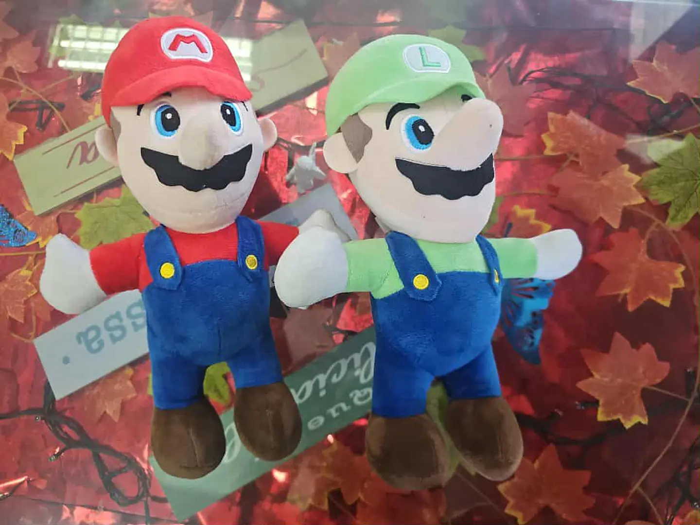 Mario e Luigi – Super Irmãos 🧢🍄⭐ 1