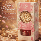 ✨🌸 Coleção Flor Perfumada – La Casa de Aromas 🌸✨