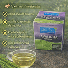 Chás de Ervas Naturais – Bem-Estar e Sabor da Natureza