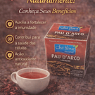 Chás de Ervas Naturais – Bem-Estar e Sabor da Natureza