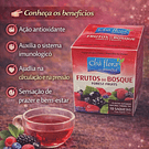 Chás de Ervas Naturais – Bem-Estar e Sabor da Natureza