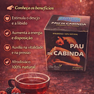 Chás de Ervas Naturais – Bem-Estar e Sabor da Natureza