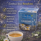 Chás de Ervas Naturais – Bem-Estar e Sabor da Natureza