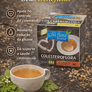 Chás de Ervas Naturais – Bem-Estar e Sabor da Natureza