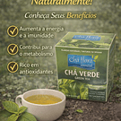 Chás de Ervas Naturais – Bem-Estar e Sabor da Natureza